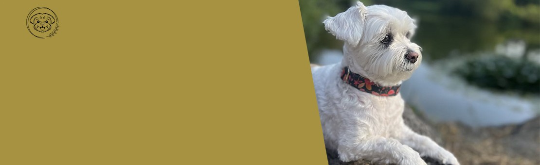 Pour votre bien-être...